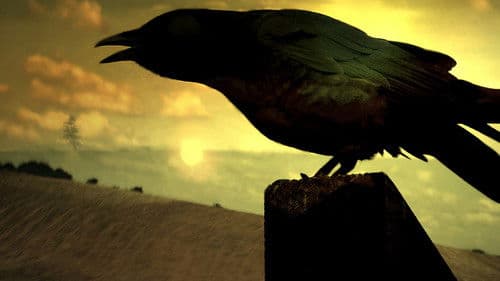 Raven - Die Unsterbliche Bild 2