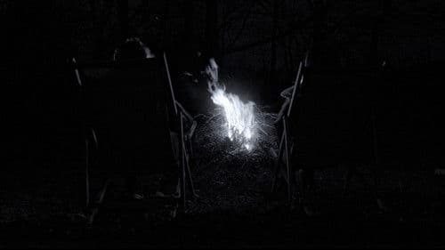 Le silence assourdissant du ciel Bild 4