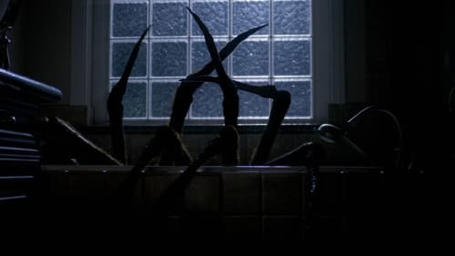 Night Spider Bild 1