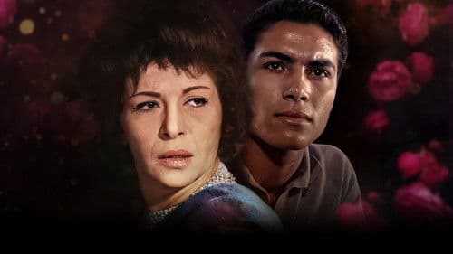 فجر يوم جديد Bild 3