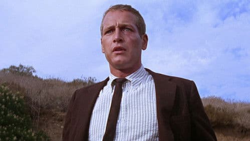 Ein Fall für Harper Bild 3