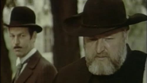 Veidas taikinyje Bild 1