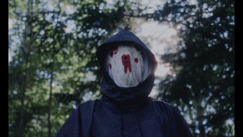 Passenger Jet Bild 3