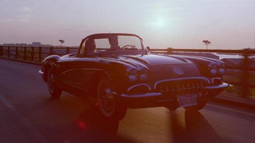 Mr. Wonderful Bild 2