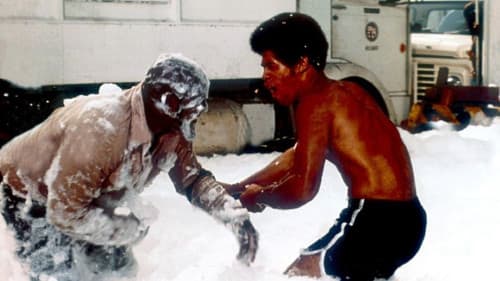 Freie Fahrt ins Jenseits Bild 8