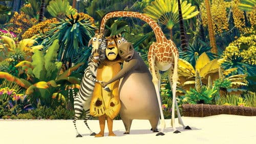 Madagascar Bild 4