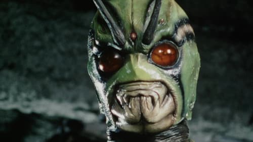 真・仮面ライダー序章 Bild 4