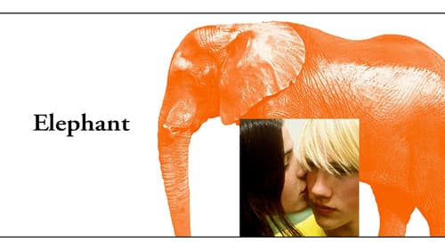 Elephant Bild 1