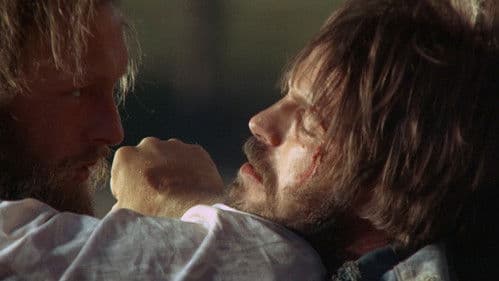 Die auf heißen Öfen verrecken Bild 2