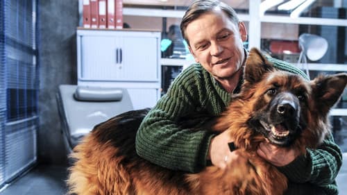 Komisarz Alex Bild 1