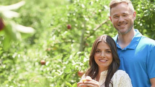 Die Verlobungsplanerin - How To Find Forever Bild 5