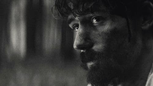 A Song For William Bird Bild 4