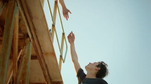 Mooie Alexander Bild 2