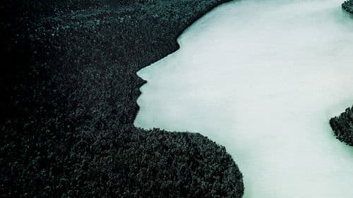 The Vanishing Women Bild 1