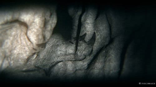 Camera obscura Bild 1