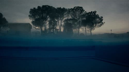 W. – Was von der Lüge bleibt Bild 5