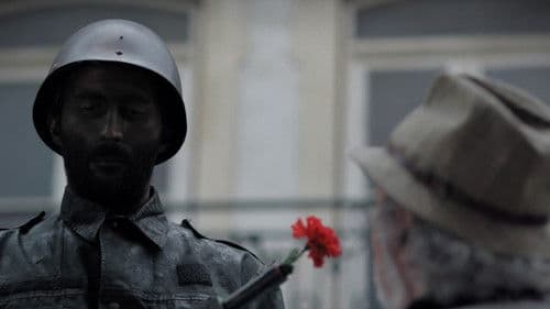 O Voo da Papoila Bild 2