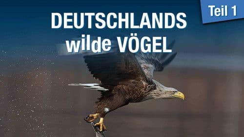 Deutschlands wilde Vögel - Teil 1 Bild 1
