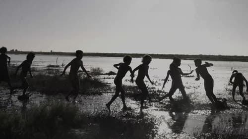 Nine Meals from Chaos Bild 2