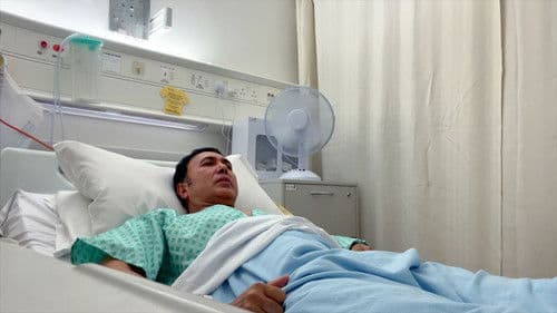 Stone Gone Life On Bild 8