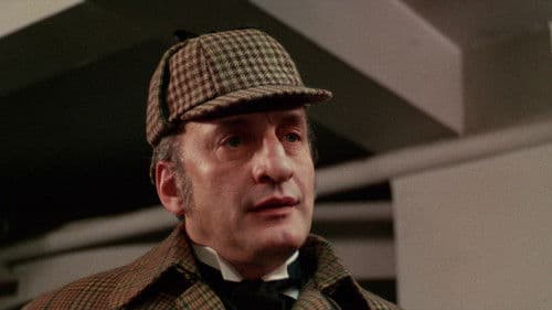 Der verkehrte Sherlock Holmes Bild 5