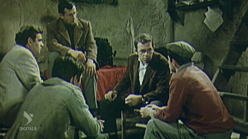 Në fillim të verës Bild 1