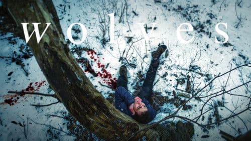 Wolves Bild 6