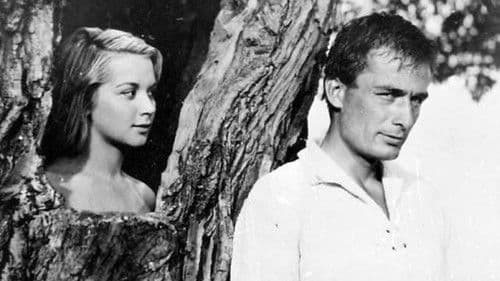 Конникът Bild 1