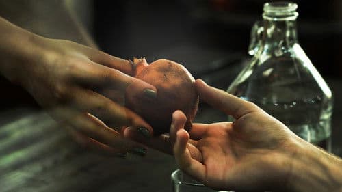 سه‌گانه چشم‌انداز Bild 1