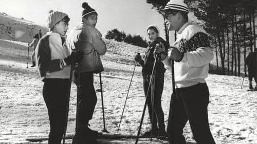 젊은 느티나무 Bild 4