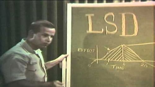 LSD Bild 1