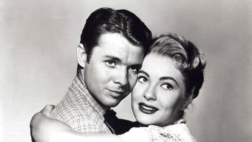 Destry räumt auf Bild 1