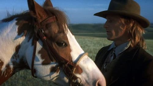 Hidalgo - 3000 Meilen zum Ruhm Bild 5