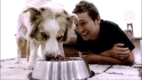 Doggie Heaven Bild 3