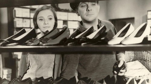 Pie bagātās kundzes Bild 1