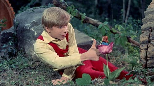 Der Tagträumer Bild 2