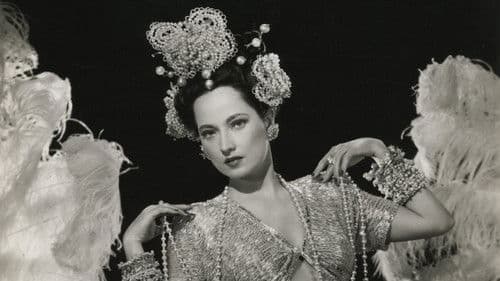 Night in Paradise Bild 1