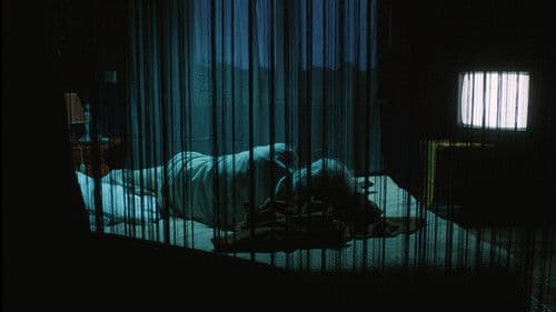 A nyár leghosszabb éjszakája Bild 1