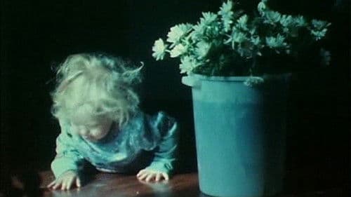 As I Was Moving Ahead, Occasionally I Saw Brief Glimpses of Beauty Bild 2