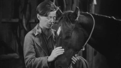 Two Thoroughbreds Bild 1