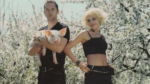 Λουκουμάδες Με Μέλι Bild 1