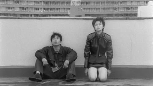 バレット・バレエ Bild 3