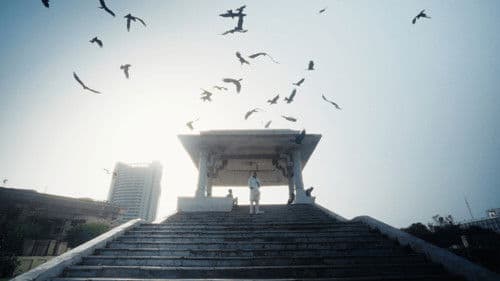 All That Breathes Bild 2