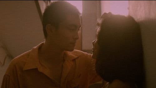 The Game Of Love Bild 1