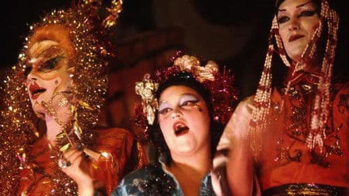 The Cockettes Bild 1