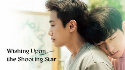Wishing Upon the Shooting Stars Bild 6