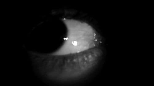 Something Awful Bild 1