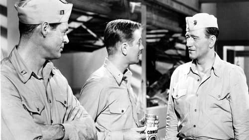 Stählerne Schwingen Bild 4