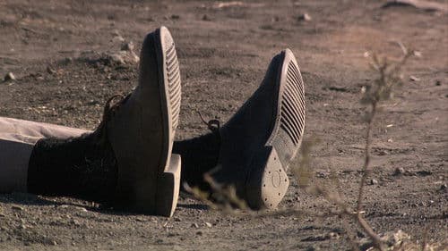 Miners Shot Down Bild 4