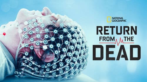 Zurück von den Toten Bild 4